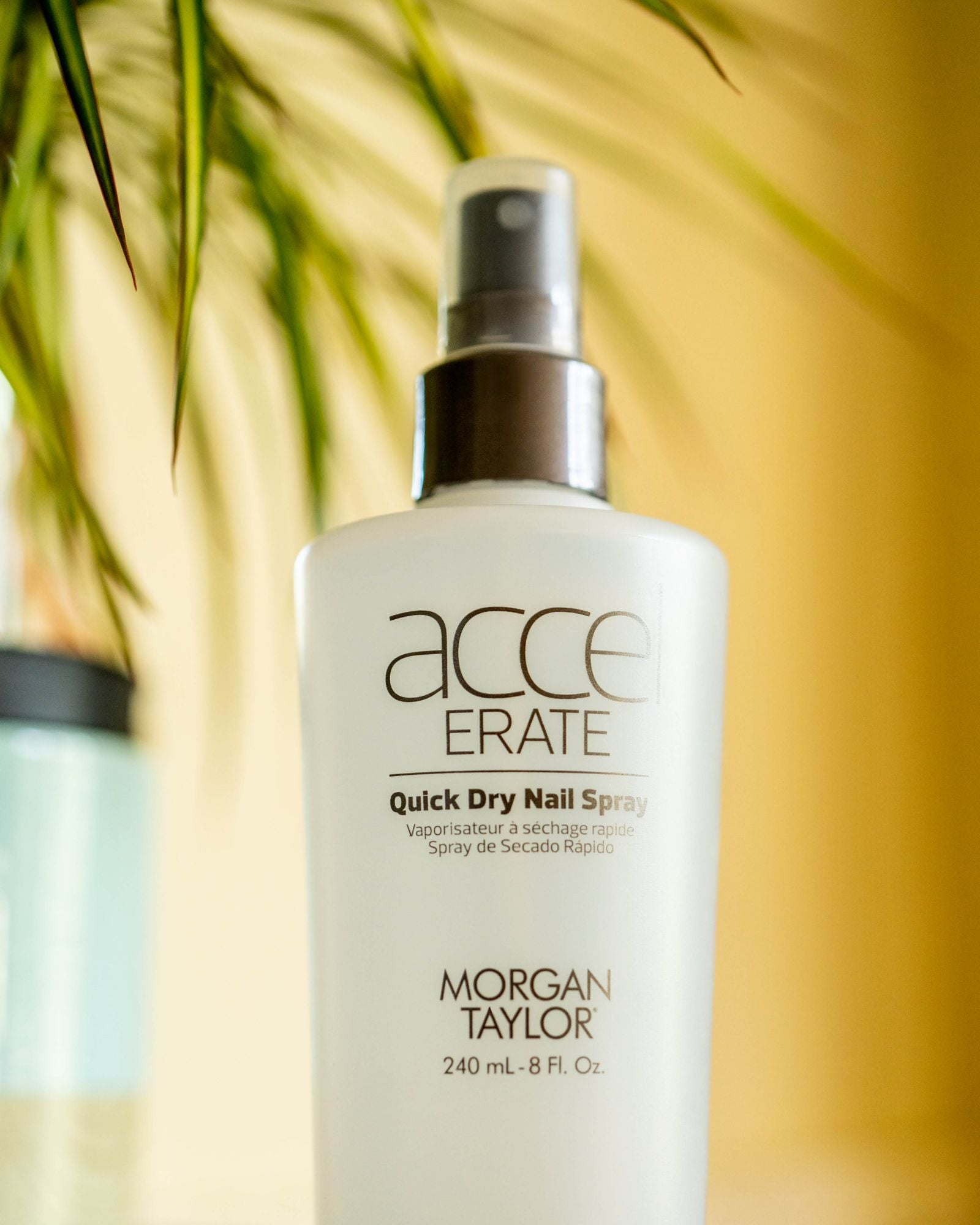 Accelerate - Quick Dry Spray - Schnelltrockner - 240 ml