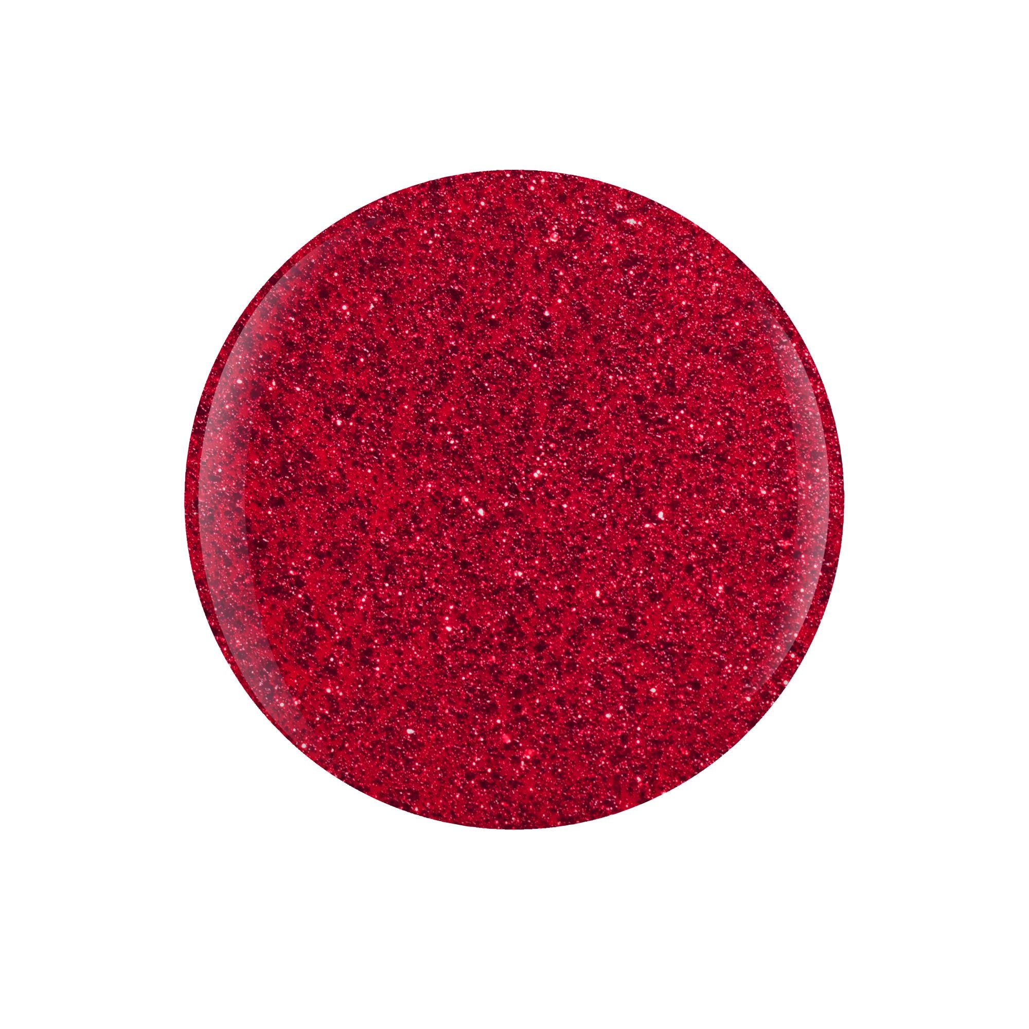 Poinsettia Stardust