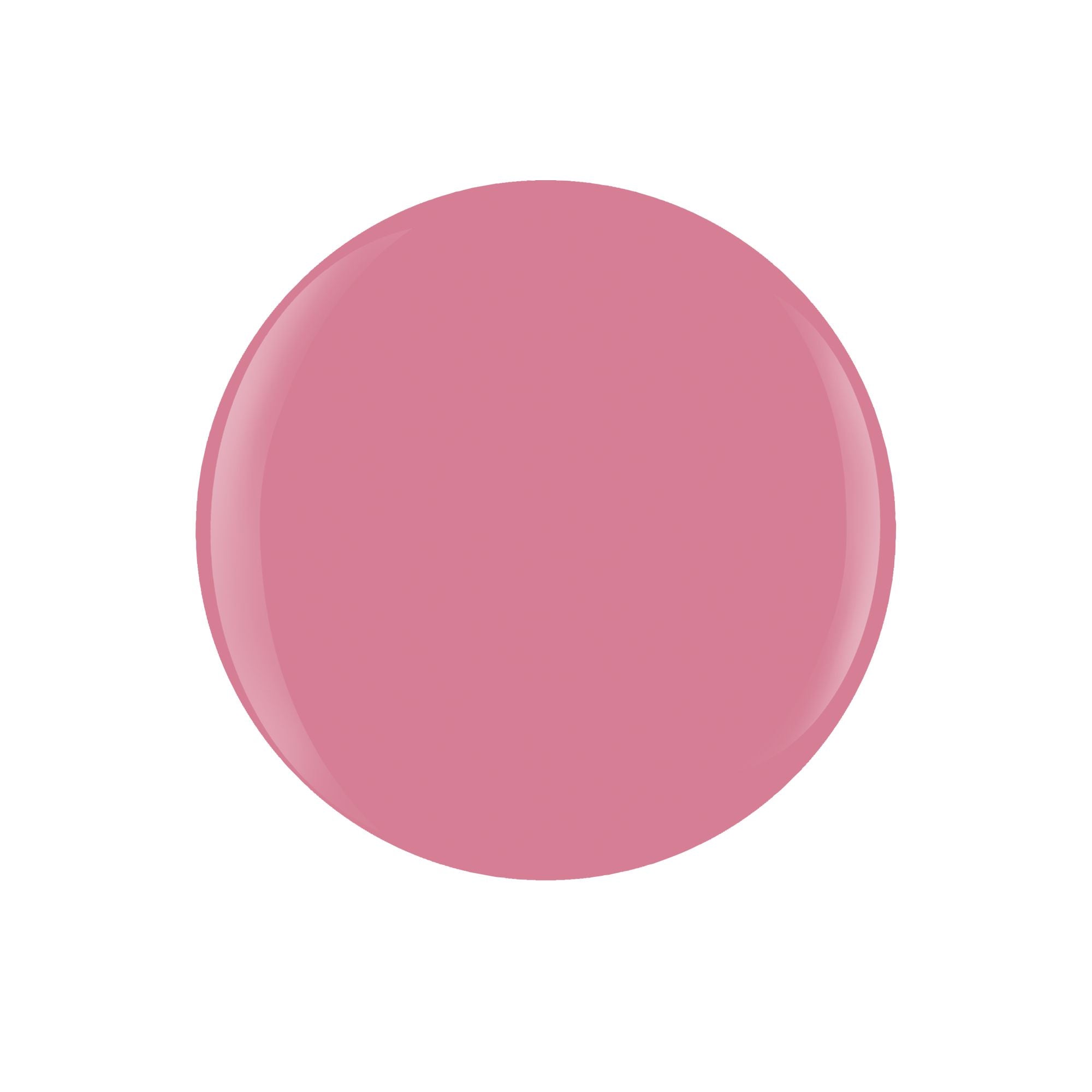 Cream Gel - Elegant Beauty - Palette  - 6 Stk.