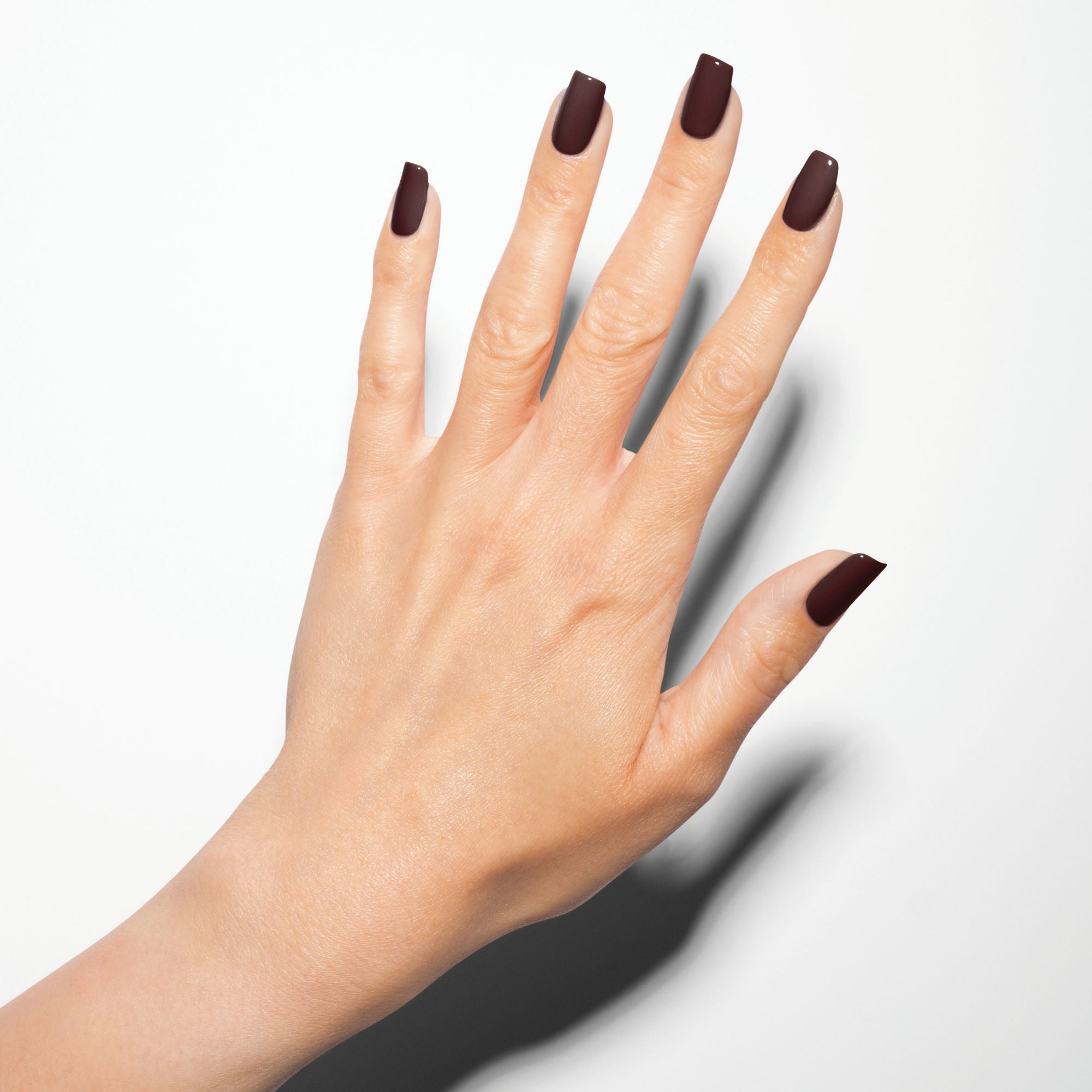 Black Cherry Berry