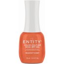 Entity Color-Couture Headshot Honey 