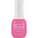 Entity Color-Couture Sweet Chic 