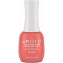 Entity Color-Couture ON TREND