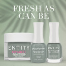 Entity Color-Couture FRESH AS CAN BE