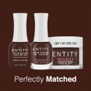 Entity Gel Lacquer PERFECTLY MATCHED