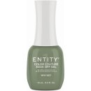 Entity Color-Couture 15ml WHY NOT