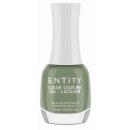 Entity Gel Lacquer WHY NOT 15ml