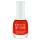 Bouquet of Gerbera Daisies - Gel Lacquer - 15 ml