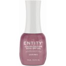 Entity Color-Couture Coutured